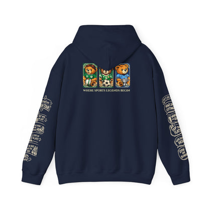 Legends of Dublin Hoodie – Dublin Sport edition, Dublin Souvenir Hoodie, Unisex Irish Hoodie, Gift from Ireland